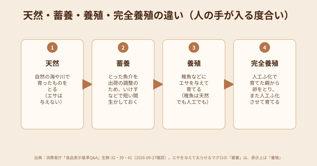 天然・蓄養・養殖・完全養殖の違いを、人の手が入る度合いの順に並べた図解