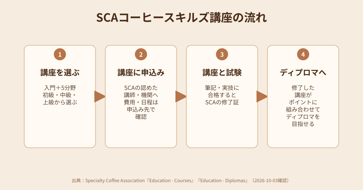 SCAコーヒースキルズ講座の流れの図解