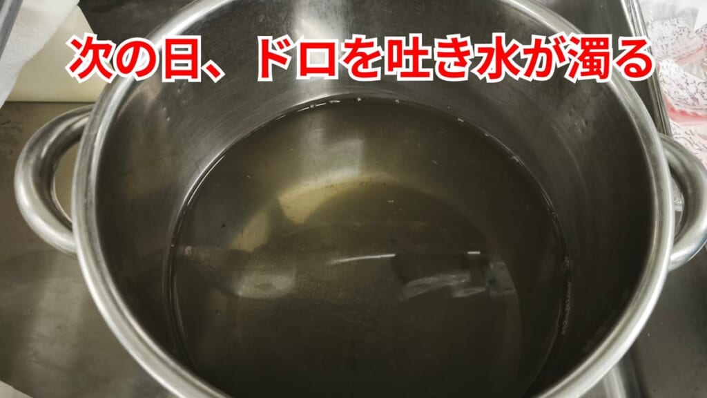 スッポンのさばき方：次の日、泥を吐き水が濁る