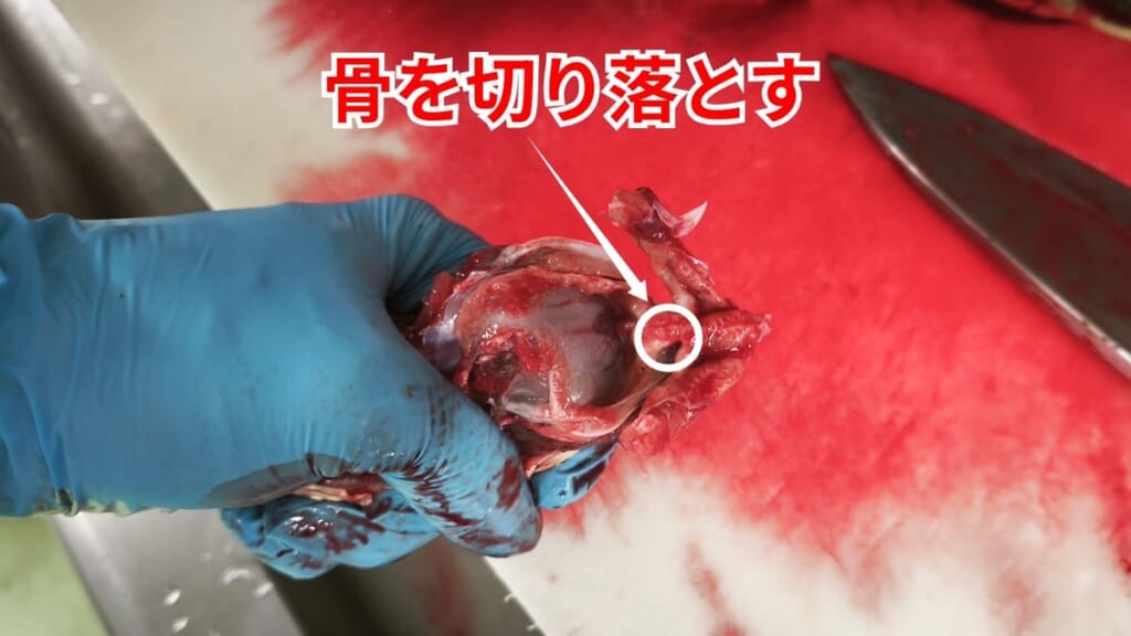スッポンのさばき方：骨を切り落とす