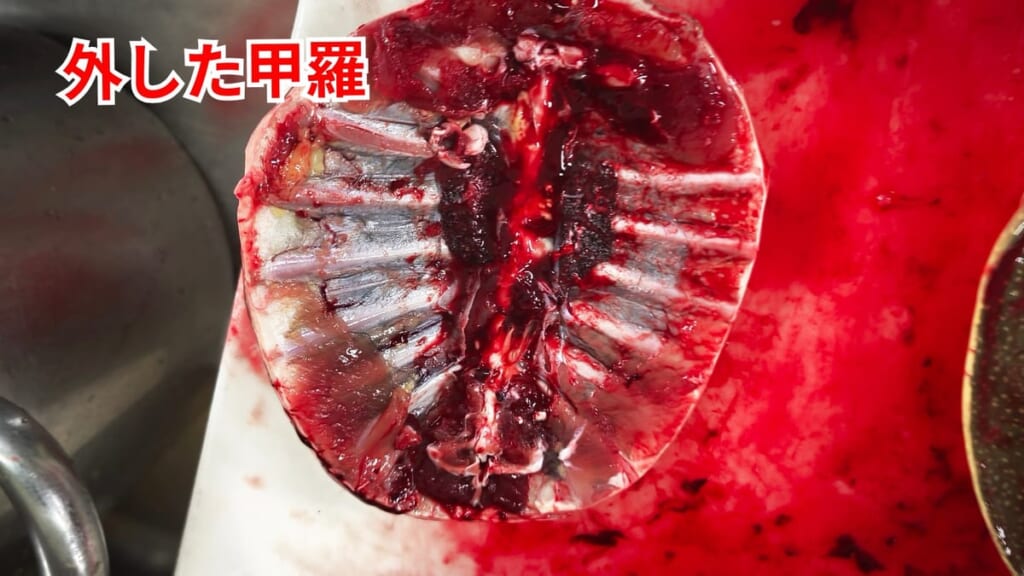 スッポンのさばき方：外したスッポンの甲羅