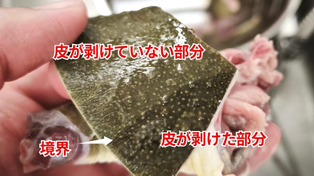 スッポンのさばき方：薄皮が剥けた部分と剥けていない部分